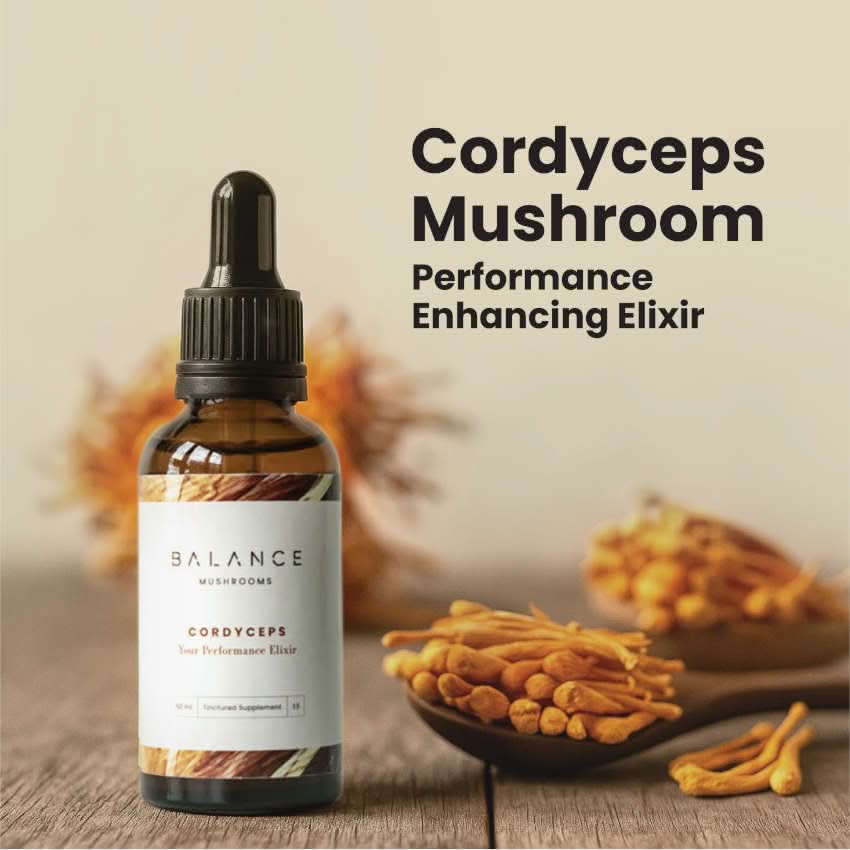 Cordyceps Elixir - Image 3