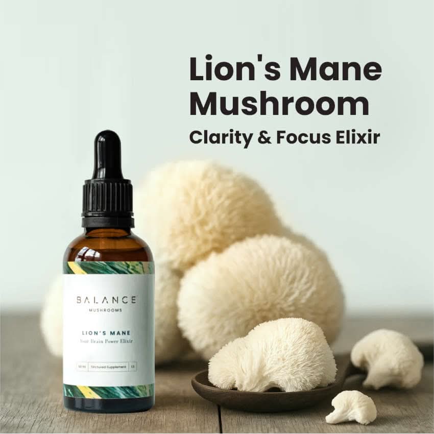 Lion's Mane Elixir - Image 3