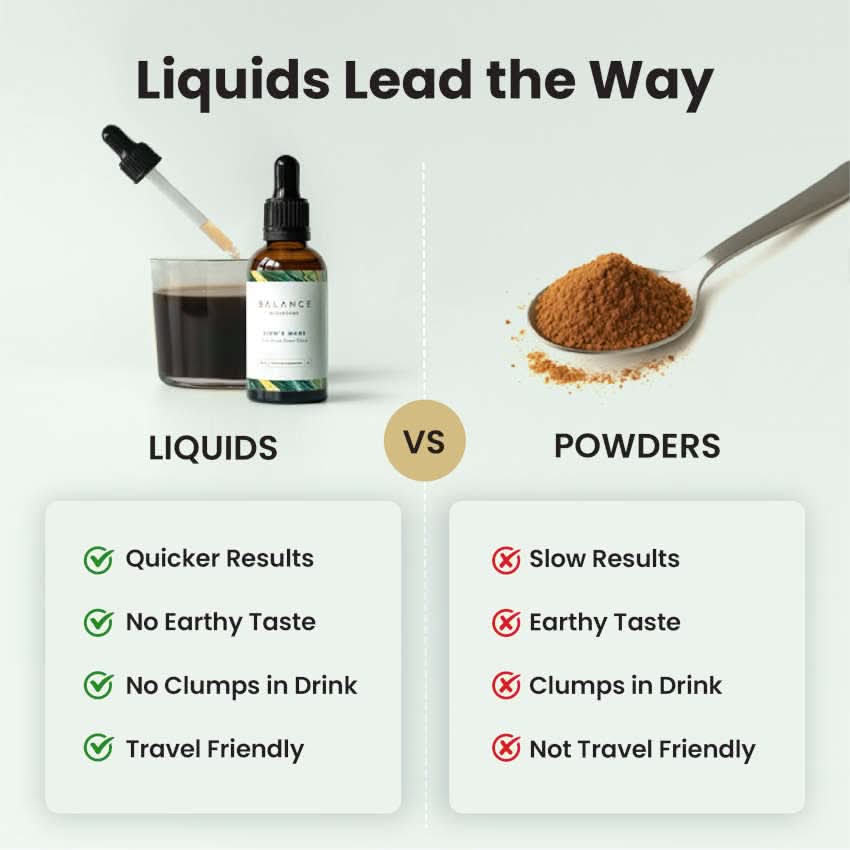 Lion's Mane Elixir - Image 4