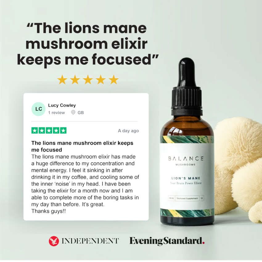 Lion's Mane Elixir - Image 5