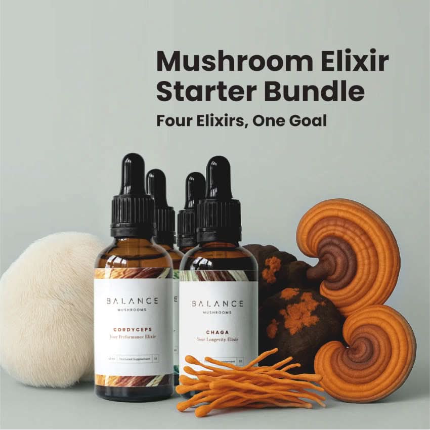 Mushroom Elixir Bundle - Image 5