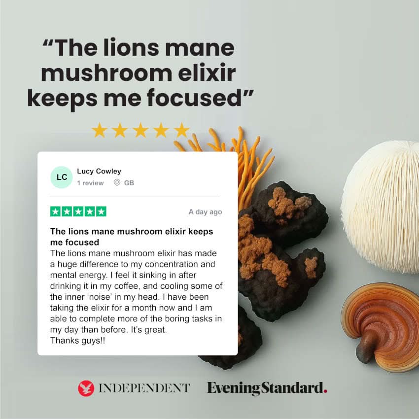 Mushroom Elixir Bundle - Image 7